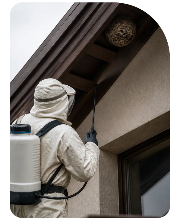 Обработка крыши от ос в Салехарде по цене от 5352 р. | Сенат-Слх